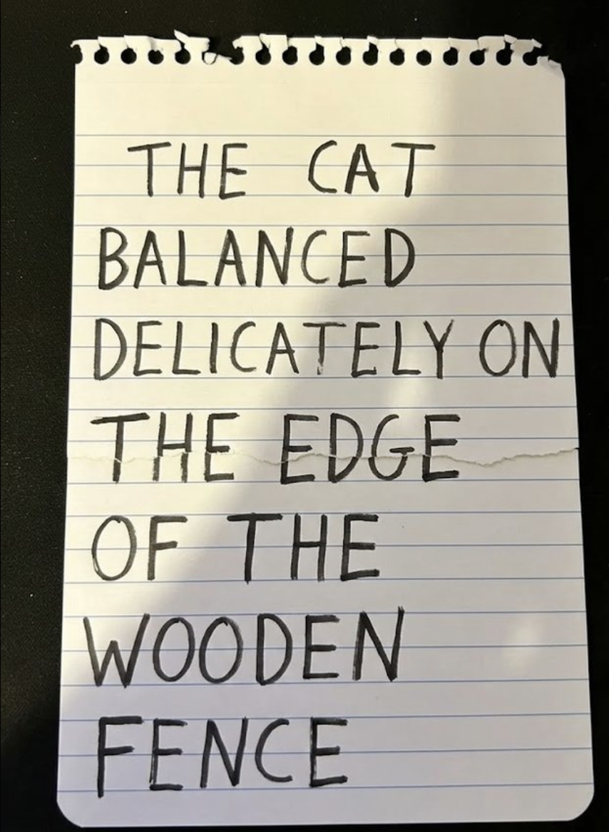 Generated video result